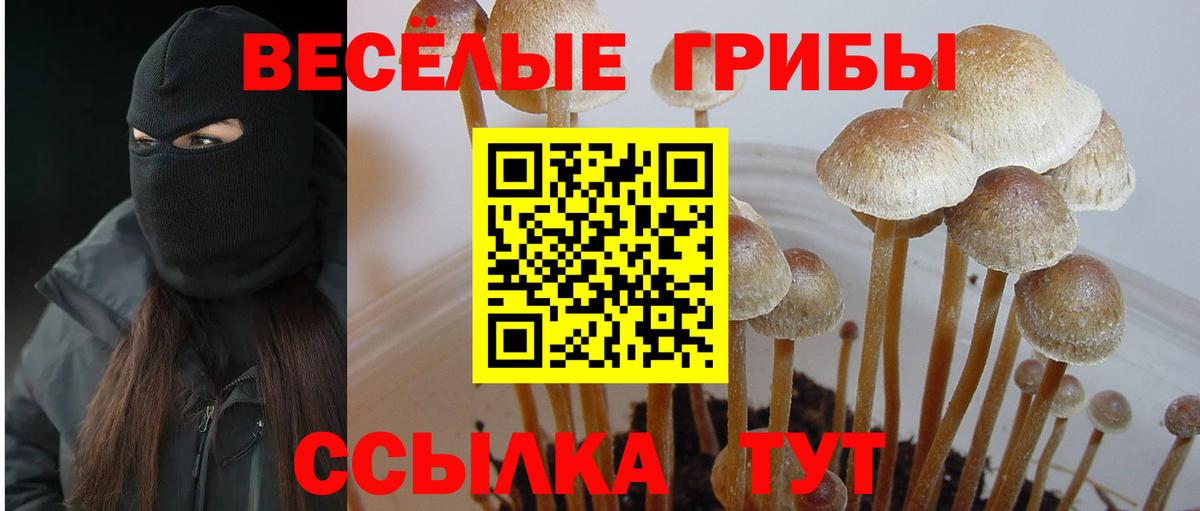 Арсеньев  Псилоцибиновые грибы MAGIC MUSHROOMS  Вход с VPN 